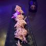 Photo of FUJIYA