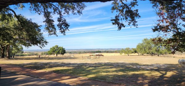 Pedernales Cellars by null