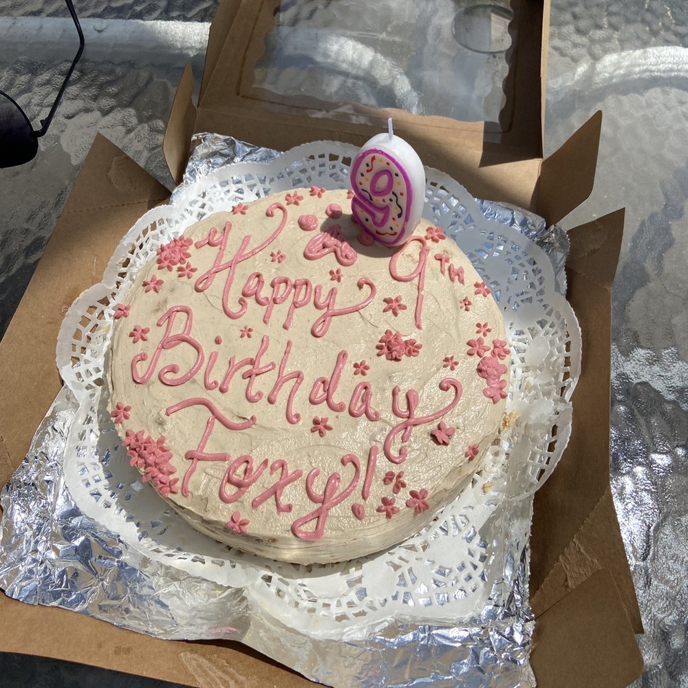The Brewhaus Bakery - My grand-dog's Bday cake. Shared with all of her doggy friends! - Community Service/Non-Profit Near Me - Cincinnati, Ohio The Brewhaus Bakery - My grand-dog's Bday cake. Shared with all of her doggy friends! - Community Service/Non-Profit Near Me - Cincinnati, Ohio