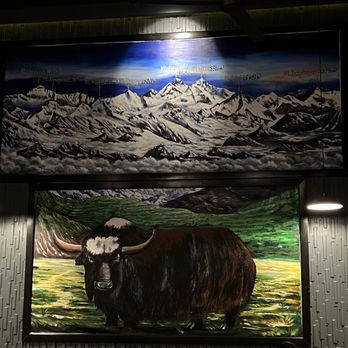 Himalayan wild yak - Himalayan/Nepalese Near Me - Ashburn, Virginia
