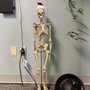 Photo of Select Chiropractic