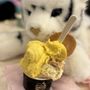 Photo of Anita Gelato