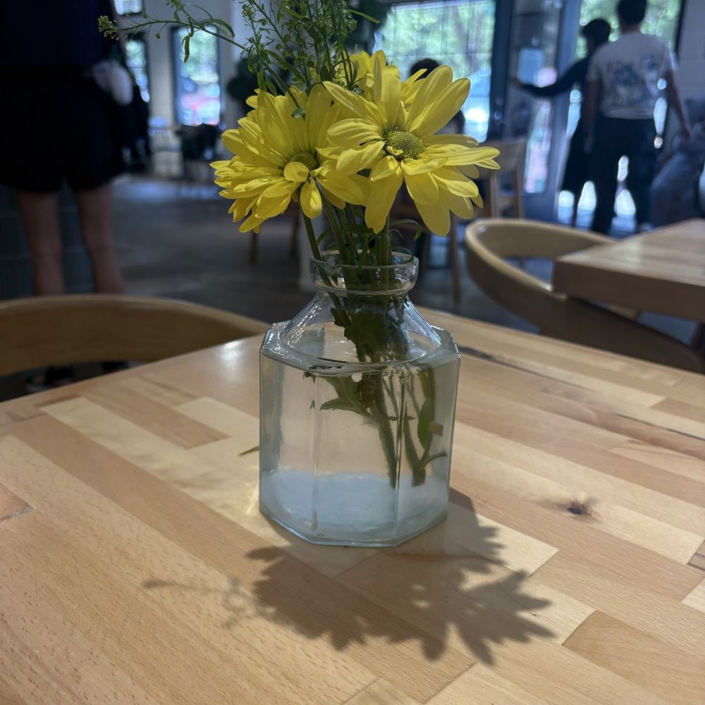 Milo’s Cafe - The cutest. - Cafes Near Me - Morrisville, North Carolina Milo’s Cafe - The cutest. - Cafes Near Me - Morrisville, North Carolina