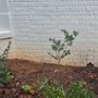 North Fulton Pressure Washing
