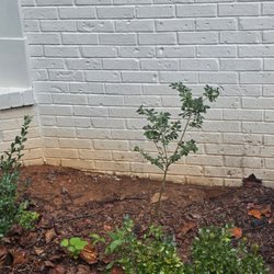 North Fulton Pressure Washing