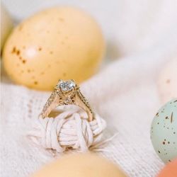 D Robert Jewelers - They have beautiful photos on their Instagram at Woodley's jewelers