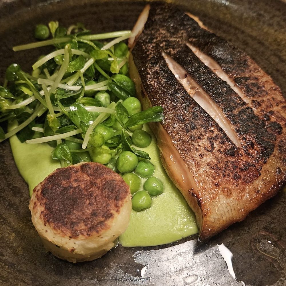 Miso cod Miso cod