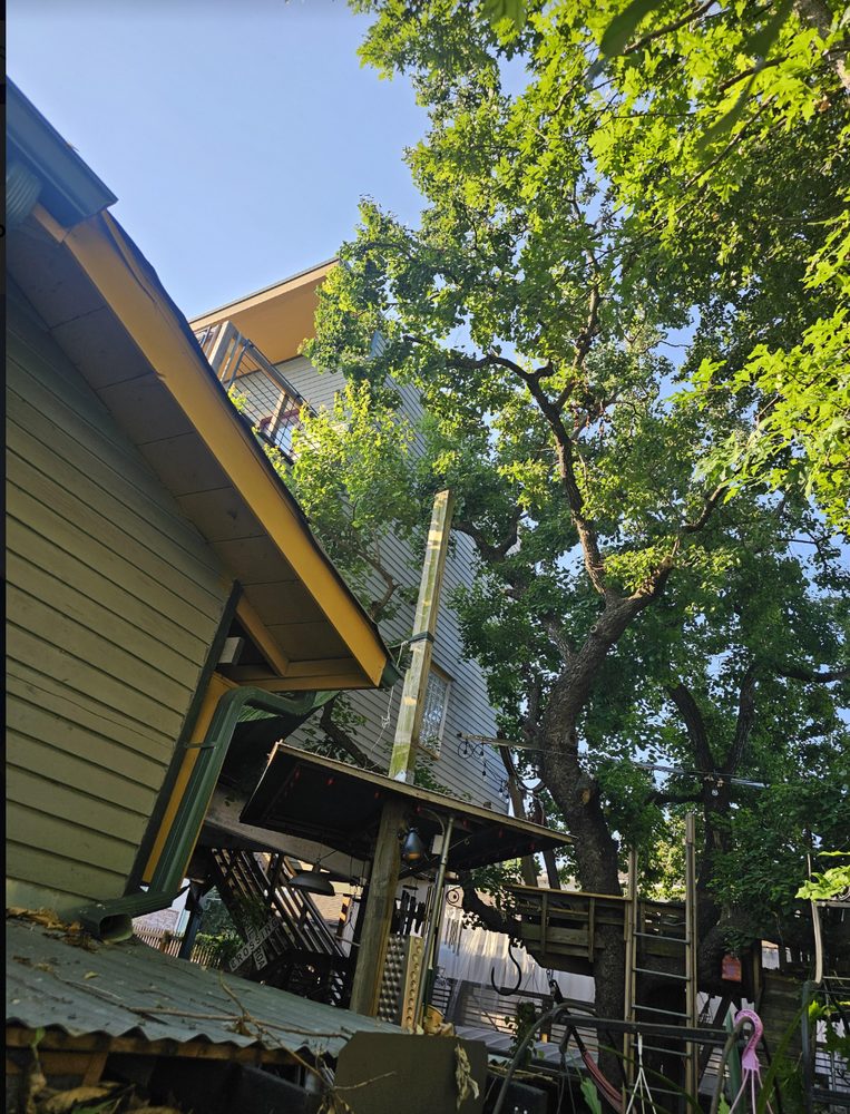 Strong Tree Service - tree service in Houston, TX