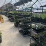 Photo of Little River Nursery