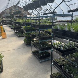 Little River Nursery
