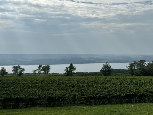 Lamoreaux Landing Wine Cellars by null