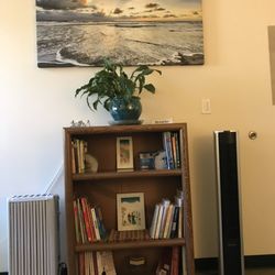 Adrian Medina, MA LMFT - A little plant life and a serene ocean view.