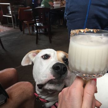 Hotel Tango - Dog friendly... and great drinks - Cocktail Bars Near Me - Indianapolis, Indiana Hotel Tango - Dog friendly... and great drinks - Cocktail Bars Near Me - Indianapolis, Indiana