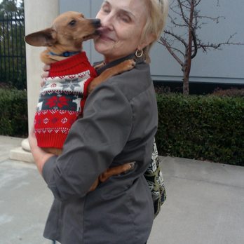 Davis Animal Rescue - Animal Shelters Near Me Davis Animal Rescue - Animal Shelters Near Me