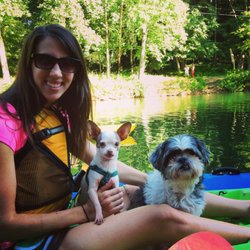 Take the Lead Pet Services