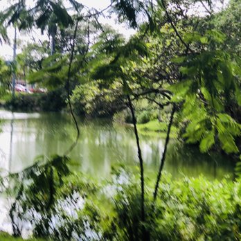 Fuchs Park - Parks Near Me - South Miami, Florida