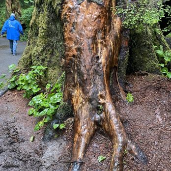 Sitka Wildlife Tours - Tours Near Me - Sitka, Alaska Sitka Wildlife Tours - Tours Near Me - Sitka, Alaska