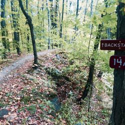 Pine Hill Park