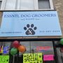 Photo of Essntl Dog Groomers