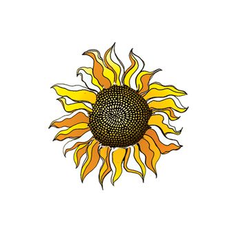 Sunflower Market - Health Markets Near Me - Rhinebeck, New York