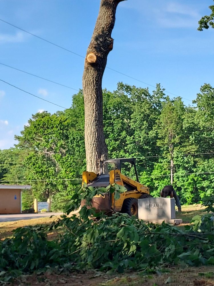 MORNING WOOD TREE CARE Request a Quote 52 Photos Ellenboro, North