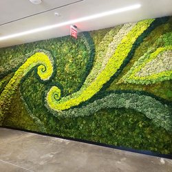 Articulture Designs - Preserved Moss Wall. No maintenance required. Design, fabrication, installation provided by Articulture Designs