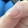 Photo of Nail Trix