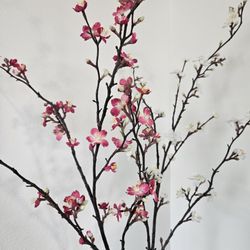 Petals - Missing 50% of its flowers