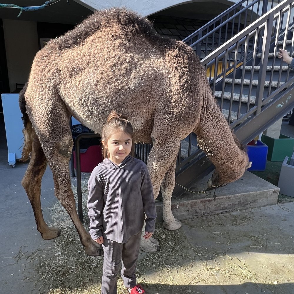 Tustin Community Preschool - Preschools Near Me - Tustin, California Tustin Community Preschool - Preschools Near Me - Tustin, California