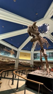 DINOSAUR by null