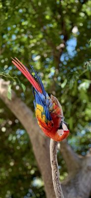 Wildlife World Zoo, Aquarium & Safari Park by null