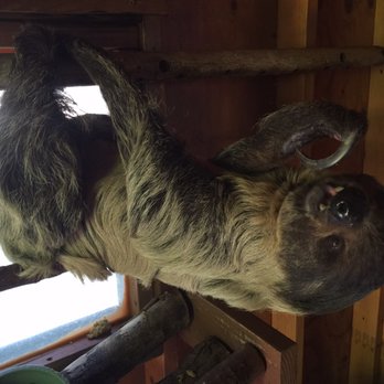 Wildlife Learning Center - Zoos Near Me - Sylmar, California
