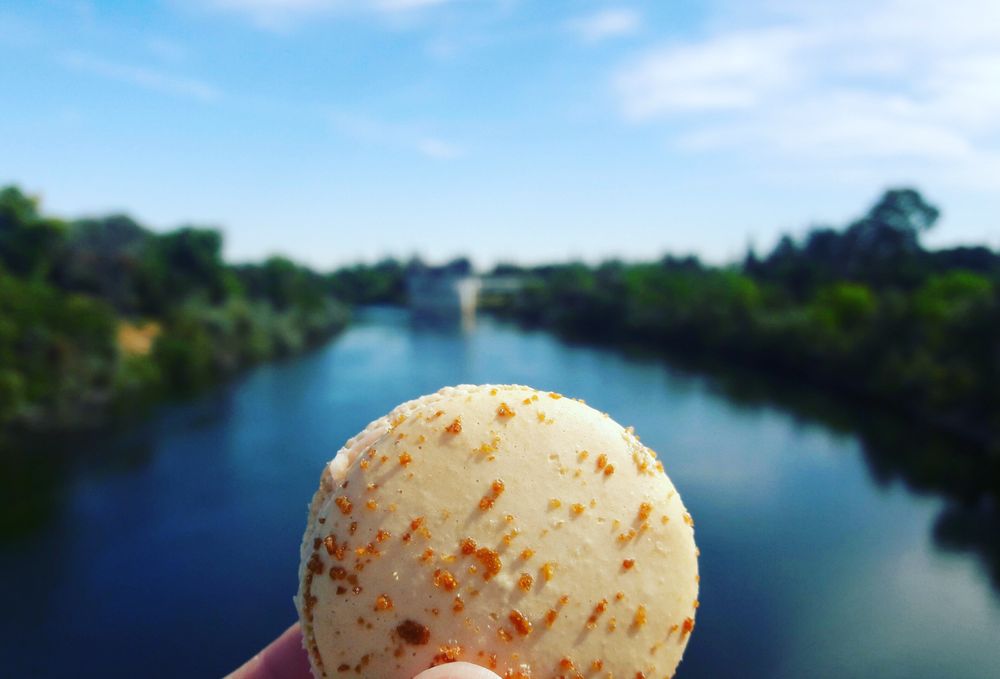 GINGER ELIZABETH CHOCOLATES 2601 Photos & 1698 Reviews Desserts