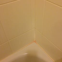 Pink mold in bathroom - May 30, 2015