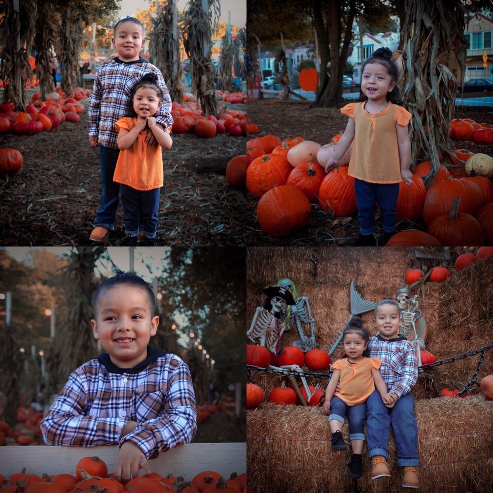 CLANCY’S CHRISTMAS TREES & PUMPKIN PATCH Updated August 2024 181