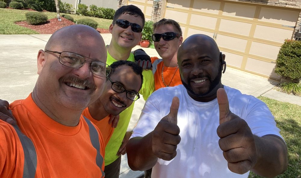 Greenwise Tree Surgeons - tree service in Jacksonville, FL