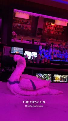 The Tipsy Pig by null