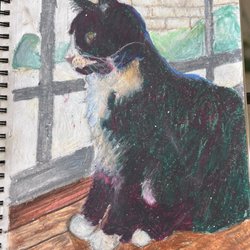Lidya's Fine Art Classes - Our cat drawn with pastel