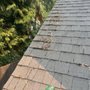 Photo of Cesars Home Solutions