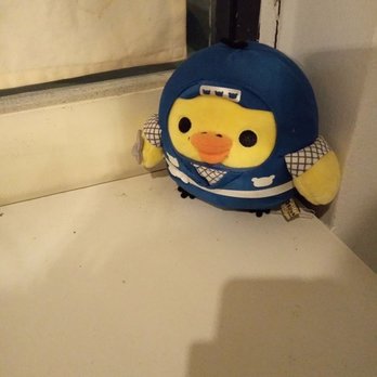 Ducks - Cute lad hidden in the corner - Japanese Curry Near Me - San Gabriel, California