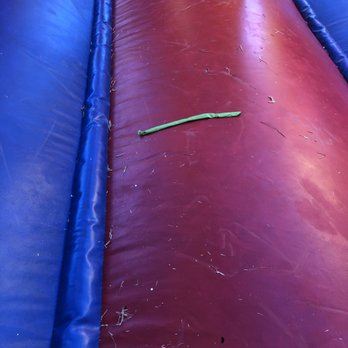 Bounce and Rebound - Bounce House Rentals Near Me - Litchfield Park, Arizona