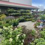 Photo of First Fruits Farm and Flowers