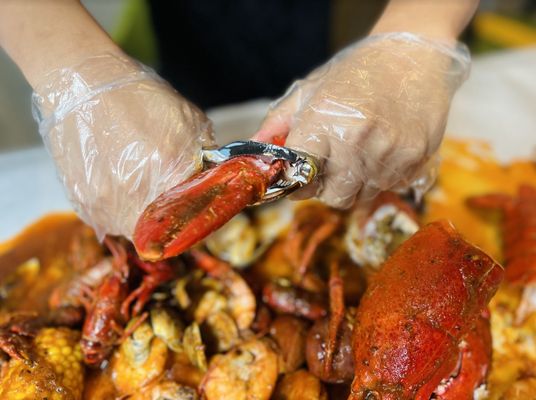 BAG O’ CRAB - SANTA ROSA - Updated January 2026 - 163 Photos & 199