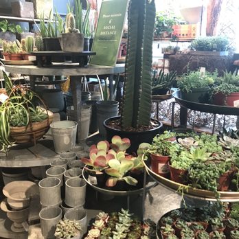 Anthropologie - Shopping Centers Near Me - Walnut Creek, California