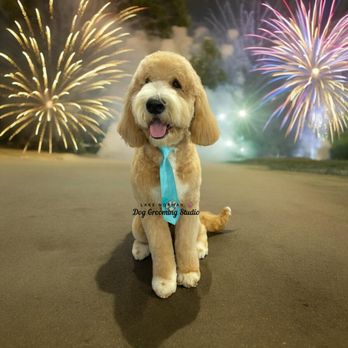 Lake Norman Dog Grooming Studio: Pamper Your Pup Today