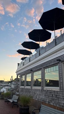 The Seafood Shanty by null