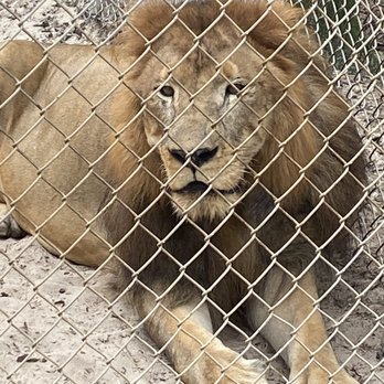 Emerald Coast Zoo - Zoos Near Me - Crestview, Florida Emerald Coast Zoo - Zoos Near Me - Crestview, Florida