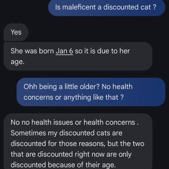 Dynasty Maine Coons - Text message proof - Pet Breeders Near Me