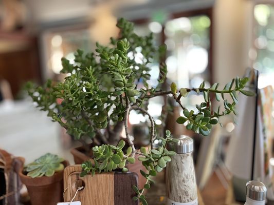 Lodi Wine Visitor Center by null