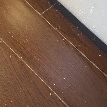 Hotel Croydon Miami Beach - More bed flakes on floor - Hotels Near Me - Miami Beach, Florida